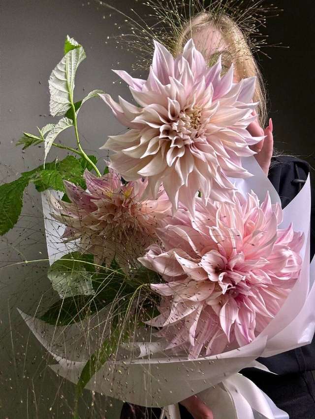 Кафе о’ле 