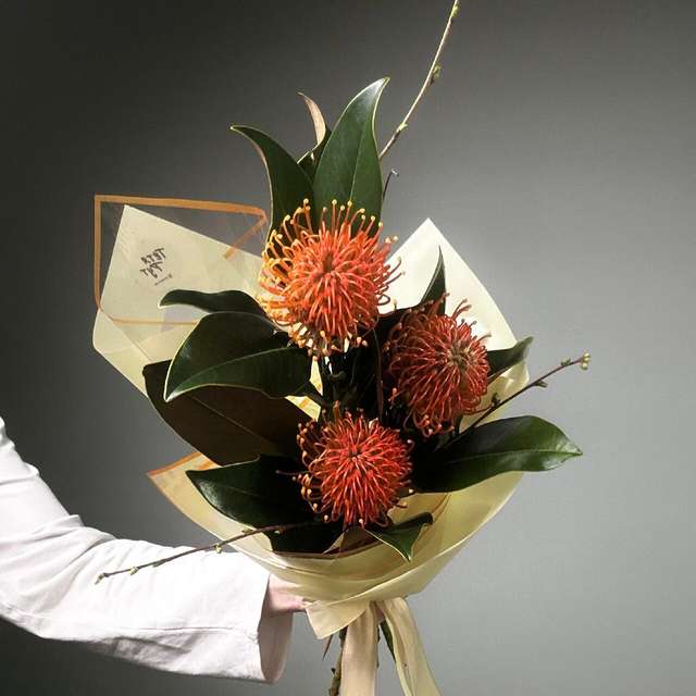 Комплимент Нутан