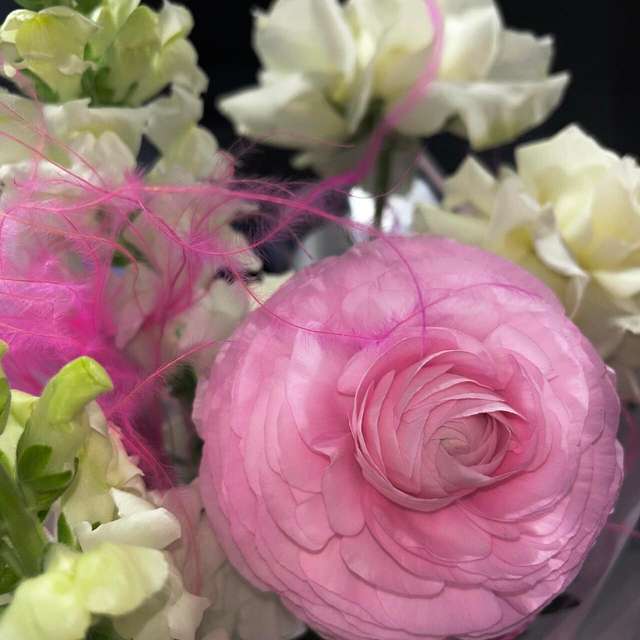 Роуз Симфони