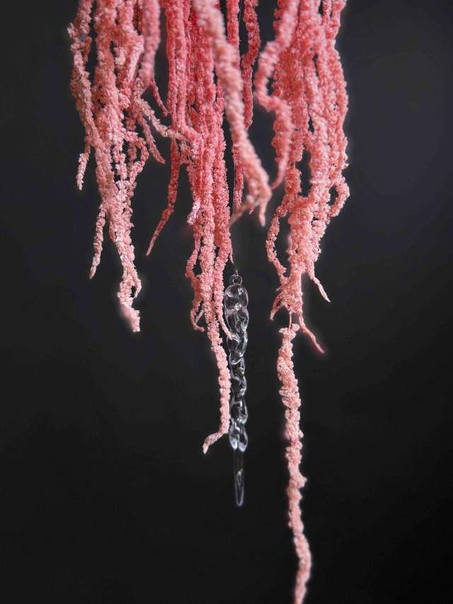 Венок новогодний «Асти» 