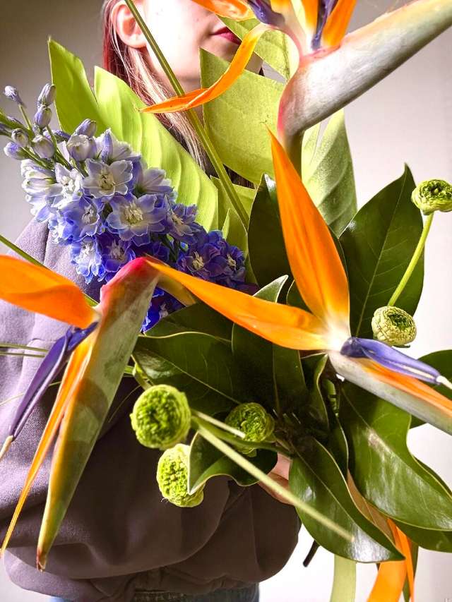 Остров Сокровищ