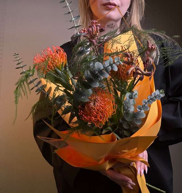 Тропики 