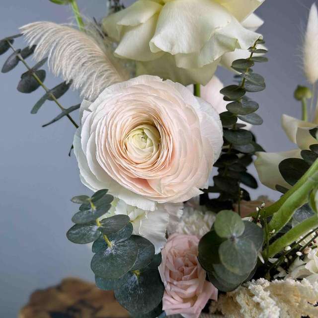 Вайт сайленс 