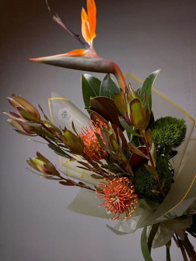 Солнце Джунглей