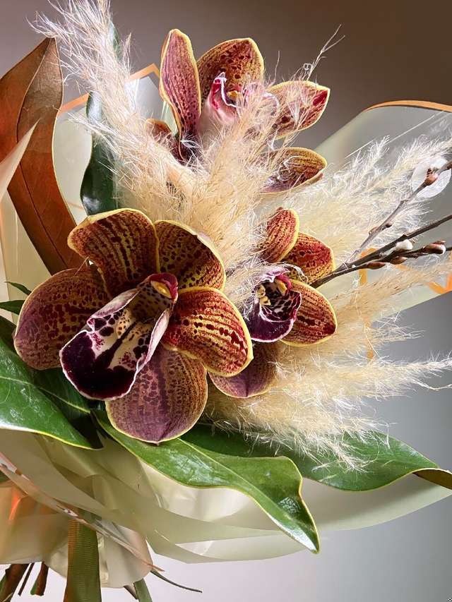 Комплимент Лос-Анджелес