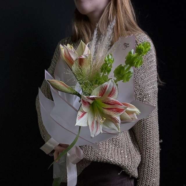 Комплимент Амарилис