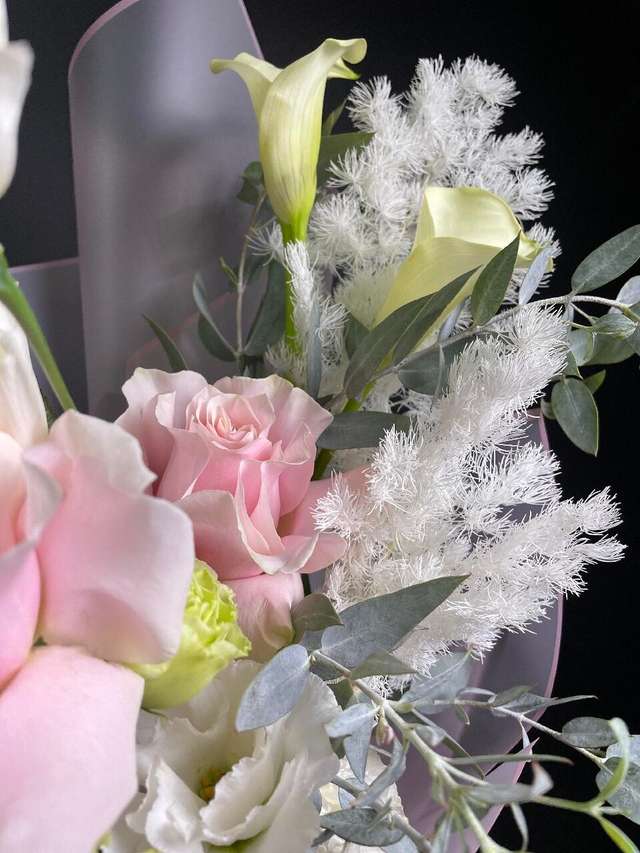 Пинк Мондиал