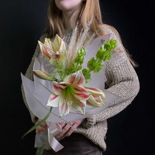 Комплимент Амарилис