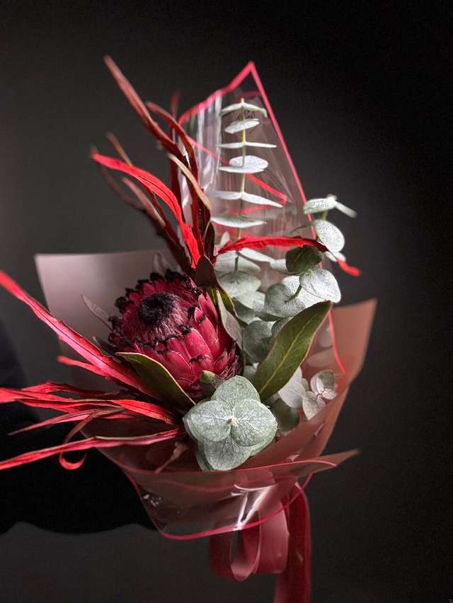 Комплимент протея