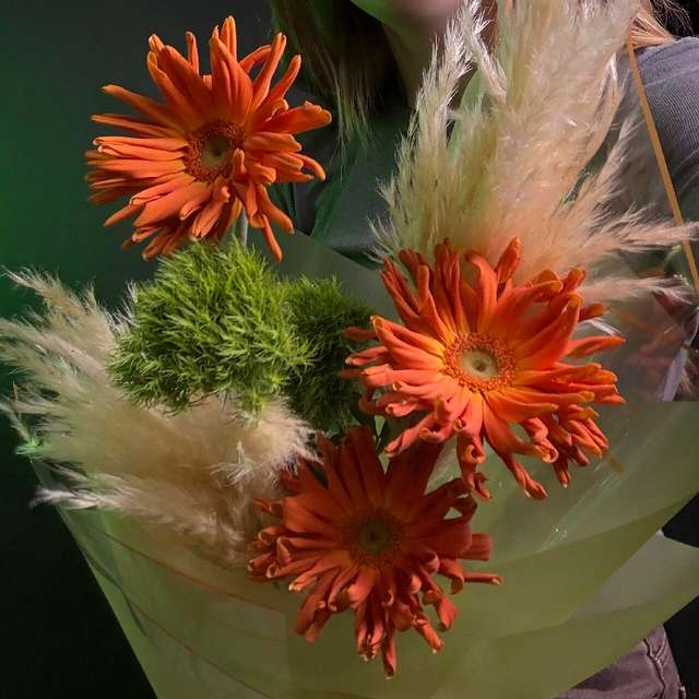 Орандж Пампас