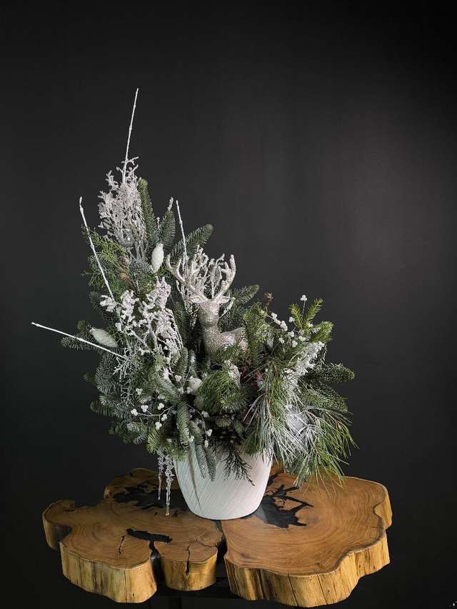 Винтер диир