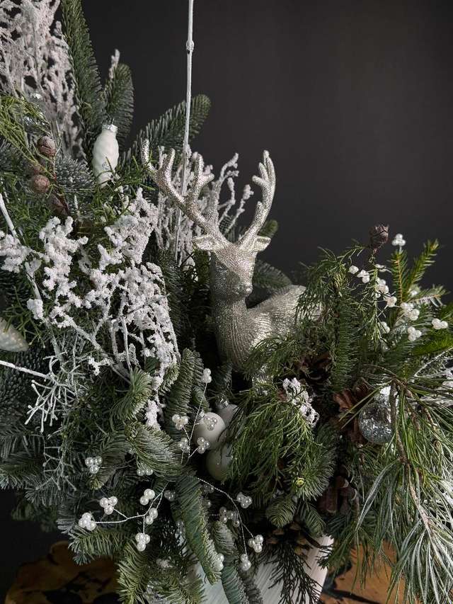 Винтер диир