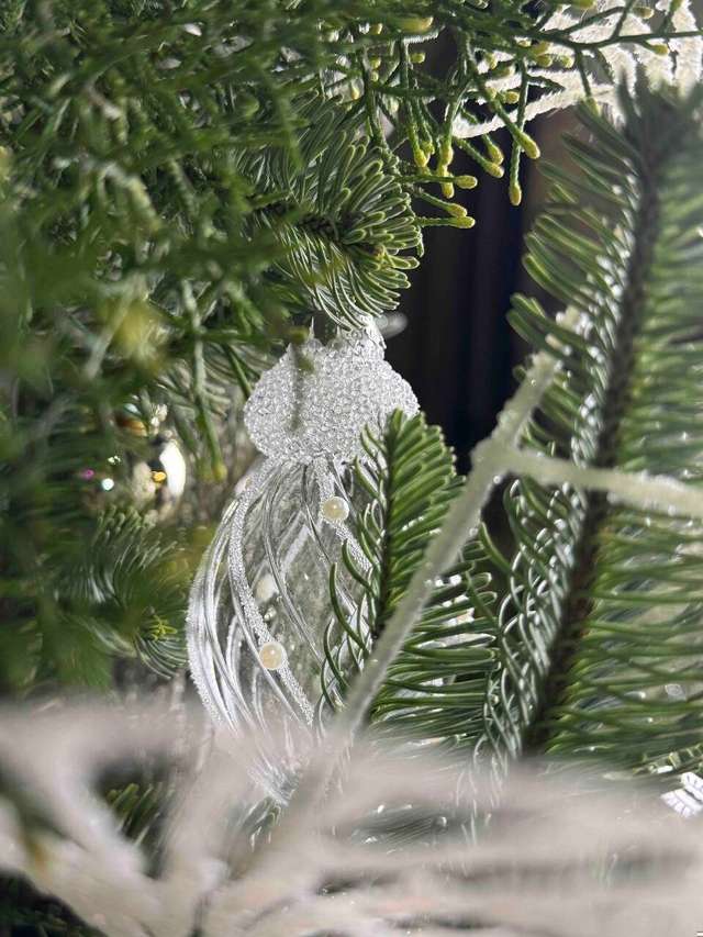 Кристал Винтер