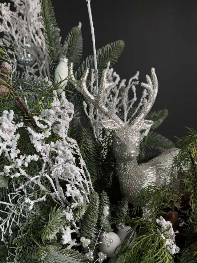 Винтер диир