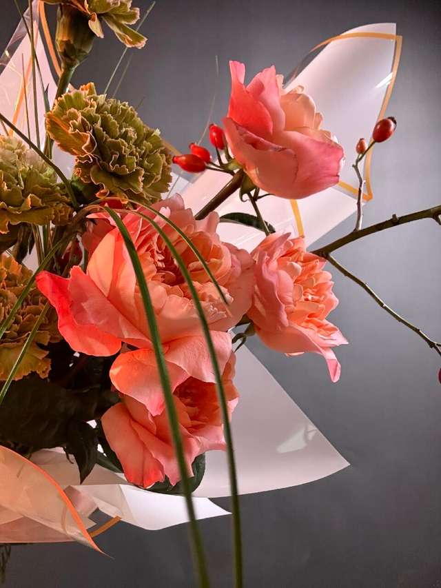 Драгон Форест